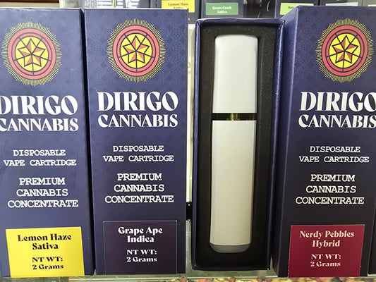 Cartridges- Dirigo Disposable 2 Gram Distillate